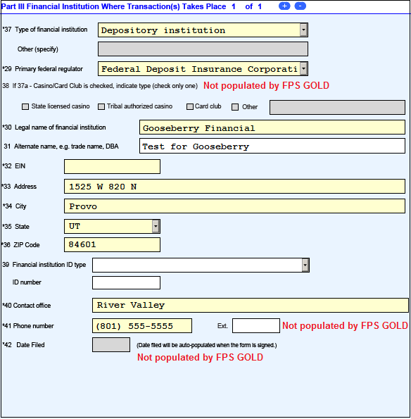 Currency Transaction Report, Part III