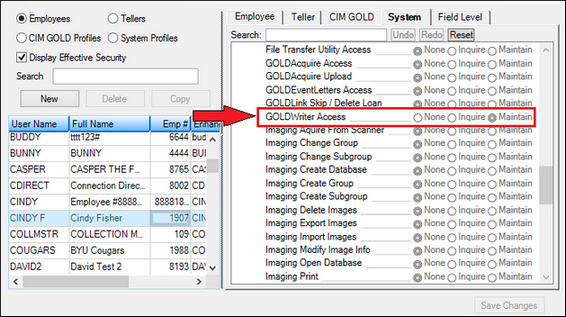 Security > Setup Screen, System Tab in CIM GOLD